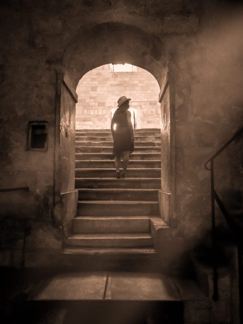 14996-19390561_10213651358538209_6733131704911600140_o