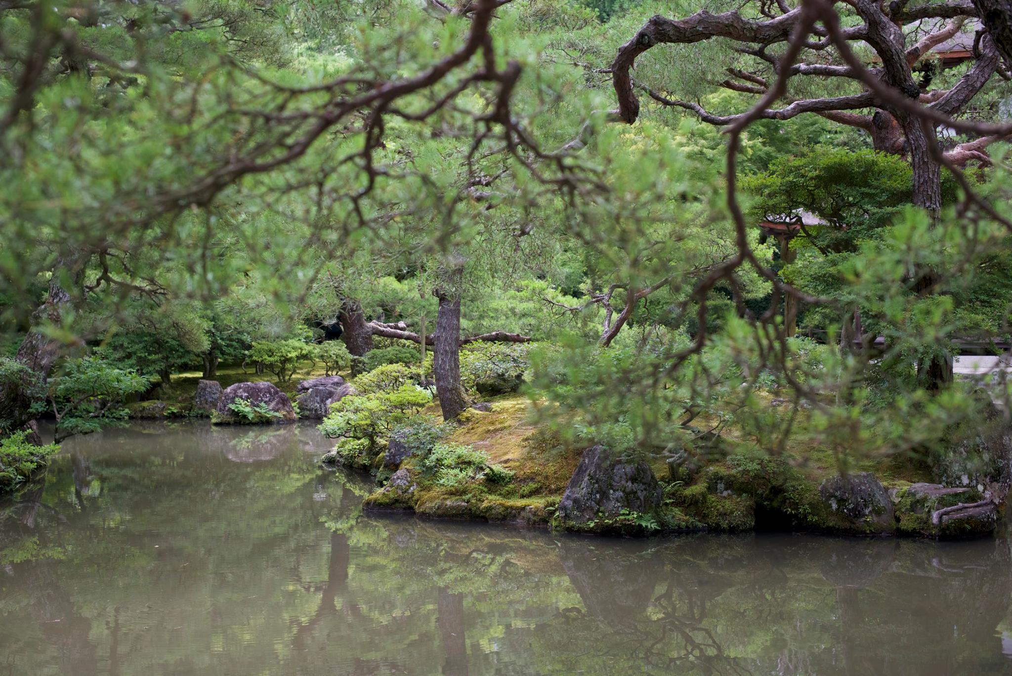 36858962_10157009680762137_4757292217284952064_o