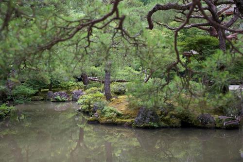 36858962_10157009680762137_4757292217284952064_o