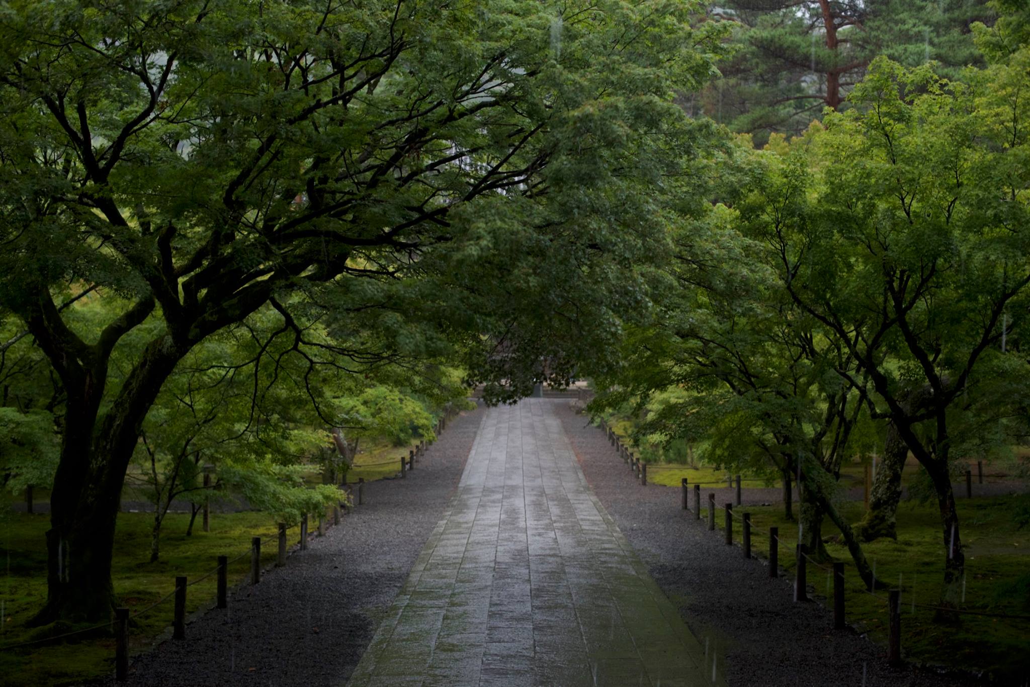 36969133_10157009680707137_7529762047156813824_o