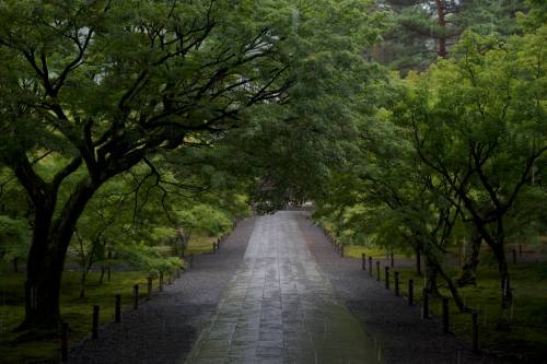 36969133_10157009680707137_7529762047156813824_o