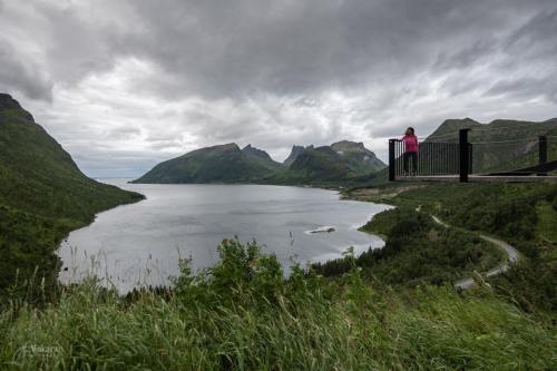 39922763_10157114031987137_4765580112596828160_n