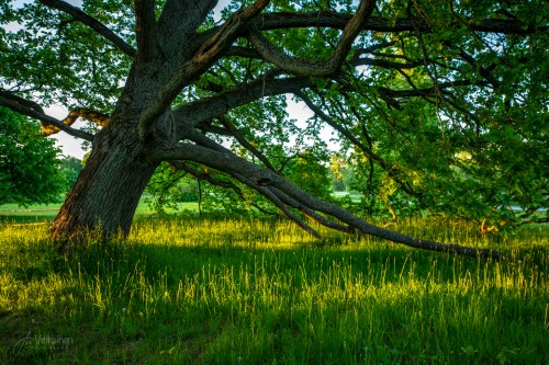 DCCC2F1A-B76F-4D0F-ADFE-53FD0629BE2E